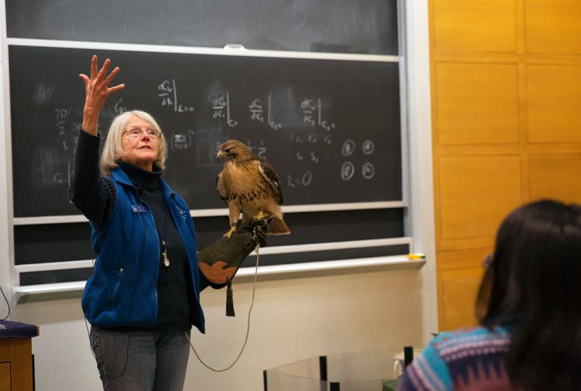 woman holding hawk